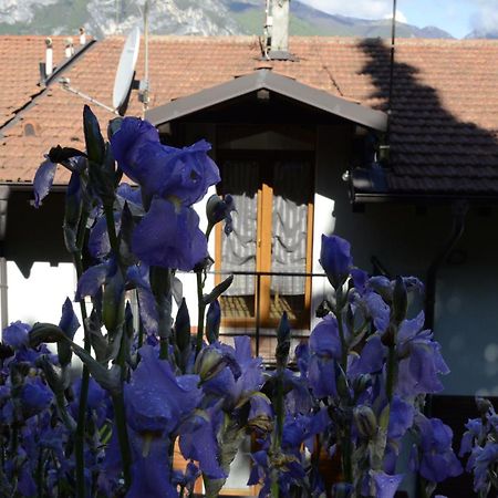 Appartamento Al Forte Torbole Sul Garda Exteriör bild