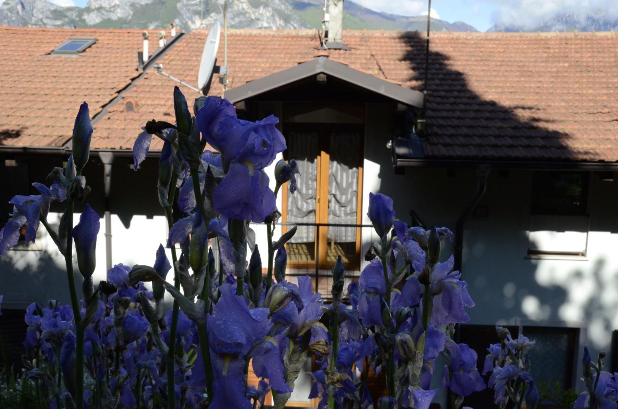 Appartamento Al Forte Torbole Sul Garda Exteriör bild